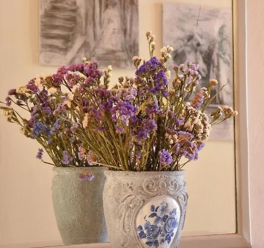 度假居 Komfort Stone House Antimachia